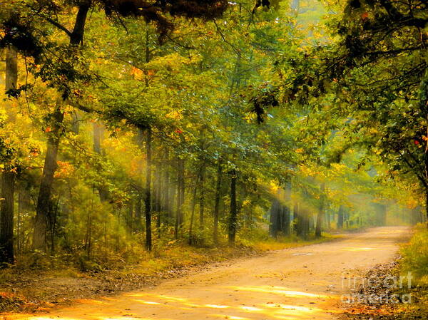 Mist Poster featuring the photograph One Misty Morning by Sharon Woerner