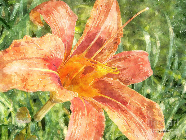 Lily Poster featuring the painting Orange Lily by Claire Bull
