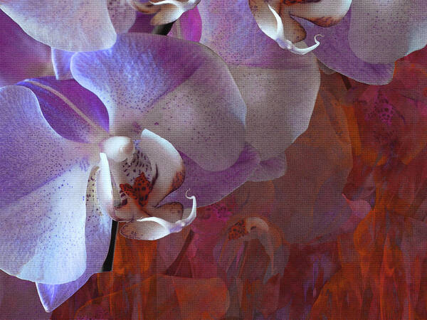 Floral Poster featuring the photograph Orchidelia 5 by Lynda Lehmann