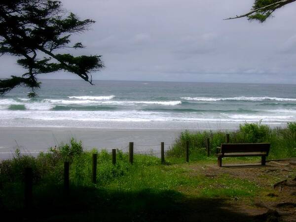 Park Bench Poster featuring the photograph Oswald West 3 by Laureen Murtha Menzl