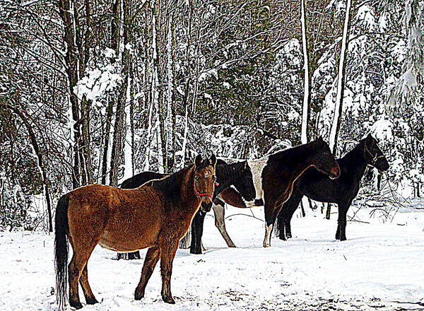 Nature Scene Poster featuring the painting Our Horses by Vivian Cook