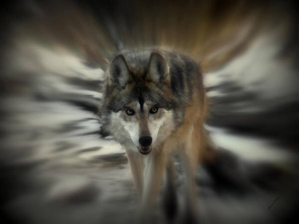 Wolf Poster featuring the photograph Out of Nowhere 2 by Ernest Echols