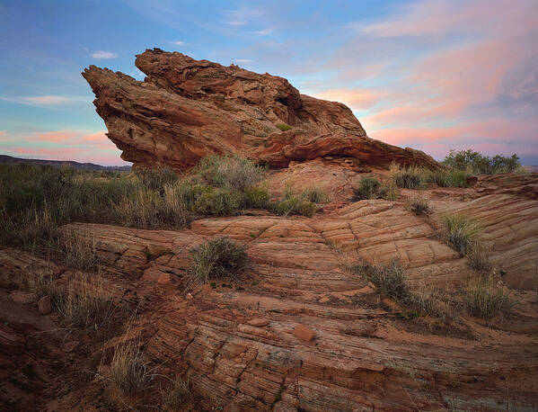 Arizona Poster featuring the photograph Page Sunrise Rock by Tom Daniel