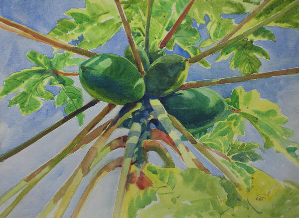 Papaya Tree Poster featuring the painting Papaya by Helal Uddin