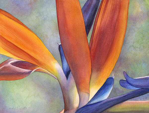 Bird Of Paradise Poster featuring the painting Paradise Bird by Sandy Haight
