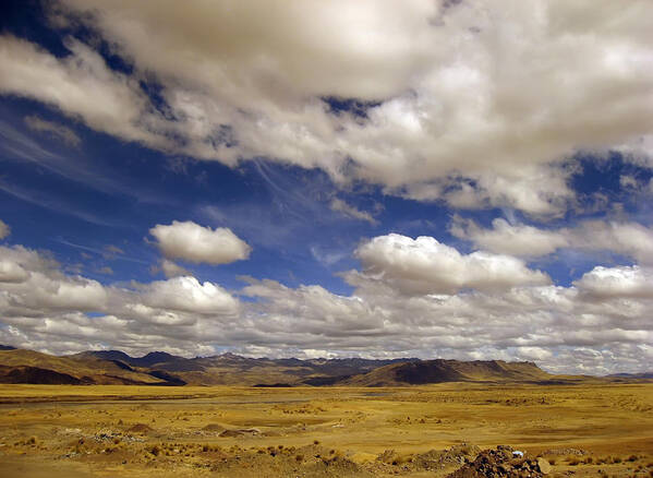 High Plain Poster featuring the photograph Peruvian high plains by RicardMN Photography