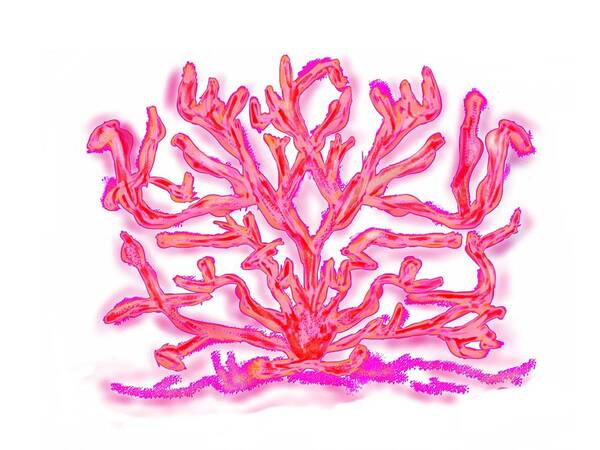 Sea Poster featuring the digital art Pink Coral by Christine Fournier