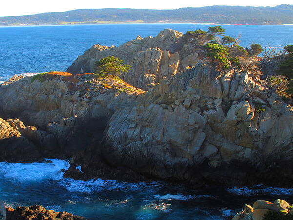 Point Lobos Poster featuring the photograph Point Lobos Number 9 by Derek Dean