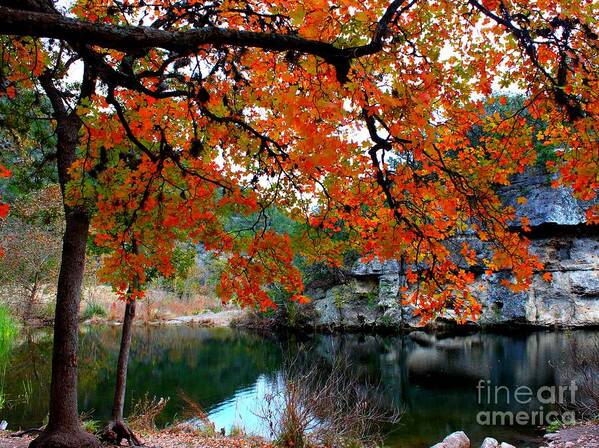 Pond Poster featuring the photograph Fall at Lost Maples State Natural Area by Michael Tidwell