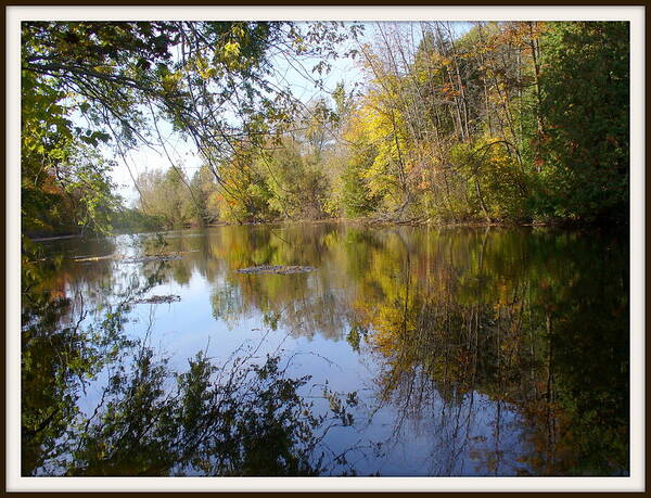 Water Reflection Poster featuring the photograph Pond Reflection at Limehouse Ontario by Lingfai Leung