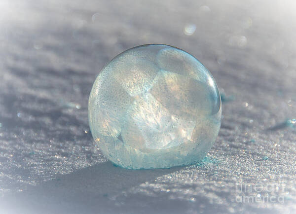 Frozen Bubbles Poster featuring the photograph Pretty Frozen Bubble by Cheryl Baxter