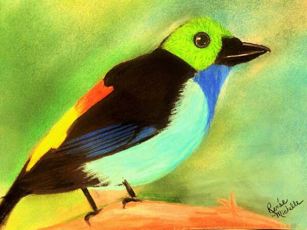 Bird Poster featuring the pastel Pretty Paradise Tanager by Renee Michelle Wenker