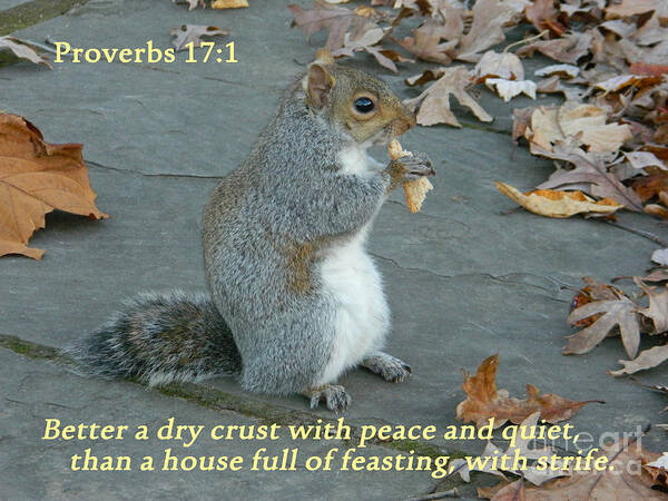 Squirrels Photographs Poster featuring the photograph Proverbs 17-1 by Emmy Vickers