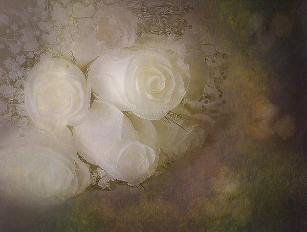 Petals Poster featuring the photograph Pure Roses by Susan Candelario