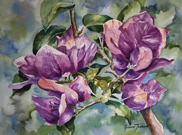 Bougainvillea Poster featuring the painting Purple Beauties - Bougainvillea by Roxanne Tobaison