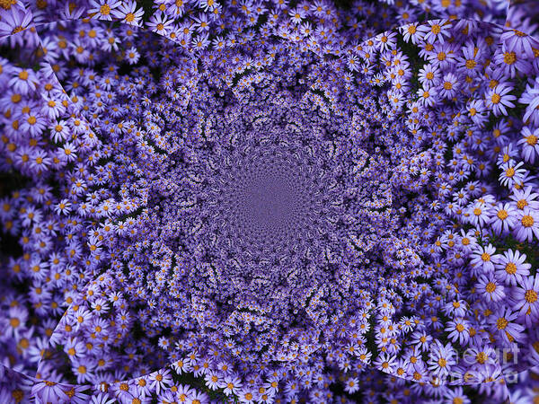 Kaleidoscope Poster featuring the photograph Purple Flowers Kaleidoscope by Carol Groenen