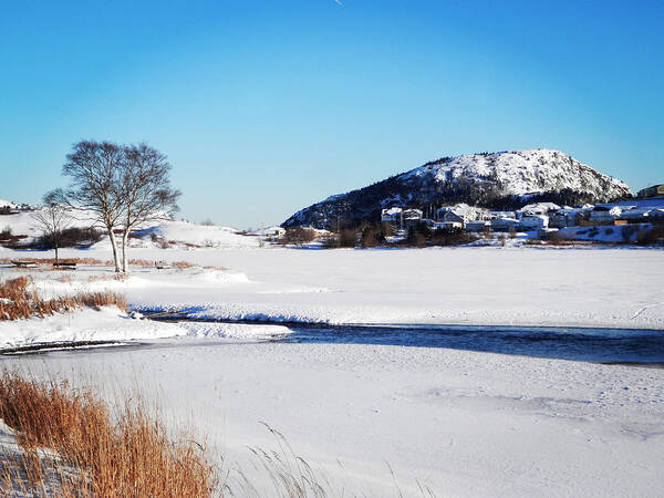 Quidi Vidi Lake Poster featuring the photograph Quidi Vidi Under Snow by Zinvolle Art