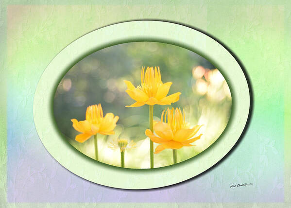 Flowers Poster featuring the mixed media Radiance by Kae Cheatham