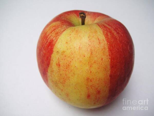 Apple Poster featuring the photograph Red and yellow apple by Karin Ravasio