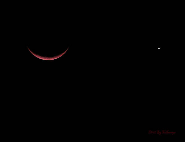Celestial Poster featuring the photograph Red Crescent Moon and Venus by Lucy VanSwearingen
