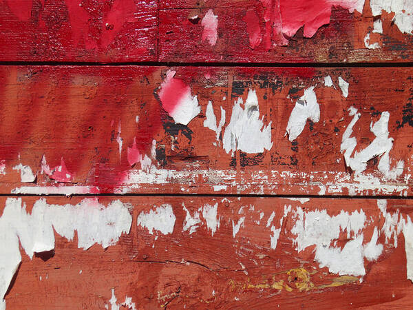 Texture Poster featuring the photograph Red by Jessica Levant