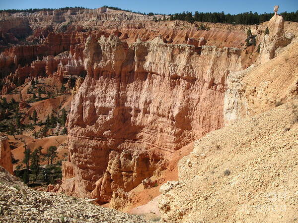 Rocks Poster featuring the photograph Red Rock Bryce Canyon by Christiane Schulze Art And Photography