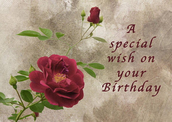 Rose Poster featuring the photograph Red Rose Birthday Wish by Michael Peychich