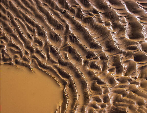 Mud Poster featuring the photograph Ripples And Fins by Deborah Hughes