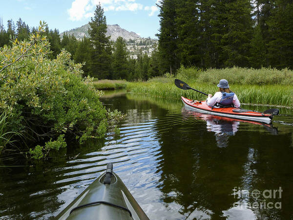 Kayak Poster featuring the photograph Ripples of Meadow and Mountain by Cheryl Wood