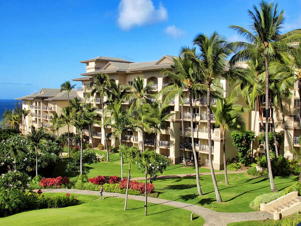 Hawaii Poster featuring the photograph Ritz Carlton 18 by Dawn Eshelman