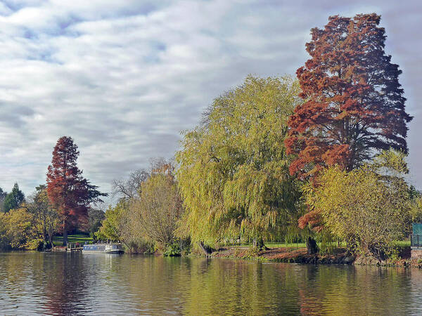 River Avon Poster featuring the photograph River Avon in Autumn by Tony Murtagh
