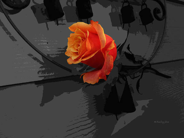 Rose Poster featuring the photograph Rose III - A Message by Xueling Zou