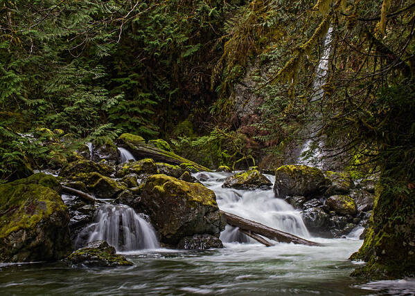 Water Poster featuring the photograph Rosewall Falls by Randy Hall