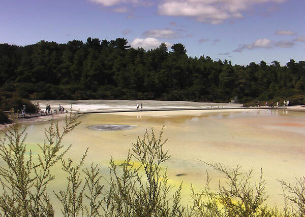 Rotorua Poster featuring the photograph Rotorua New Zealand 4 by Mariusz Kula