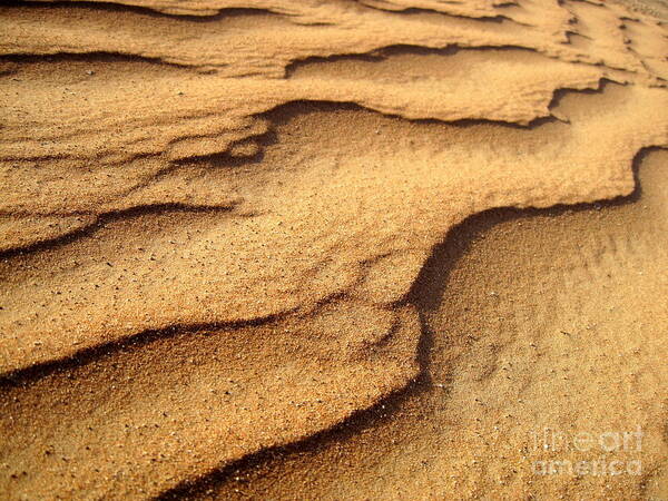 Arid Poster featuring the photograph Sand by Amanda Mohler