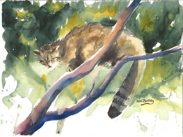 Cat Poster featuring the painting Scottish Wild Cat in a tree by Mimi Boothby