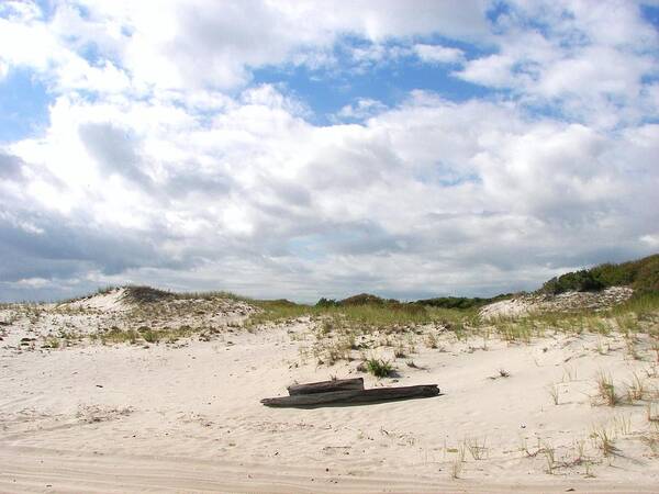 Sand Poster featuring the photograph Seaside Driftwood and Dunes by Pamela Hyde Wilson