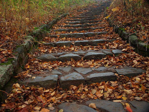 Serenity Steps Step Stairs Climb Autumn Fall Leaves Fallen Nature Landscape Landscapes Photography Temperance River State Park Parks Minnesota Mn North Shore Stone Hill Schroeder Climbing Superior Hiking Trail Hiking Club Parks Lake Superior Path Trails Off The Beaten North America American Rocky Rocks Scenic Serene Tranquility Meditation Outdoors Outdoor Relaxation Nature Beauty Unique Season Seasons Seasonal Staircase Winding Hillside Hill Hills Foliage Leaf Litter Masonry Poster featuring the photograph Serenity by James Peterson