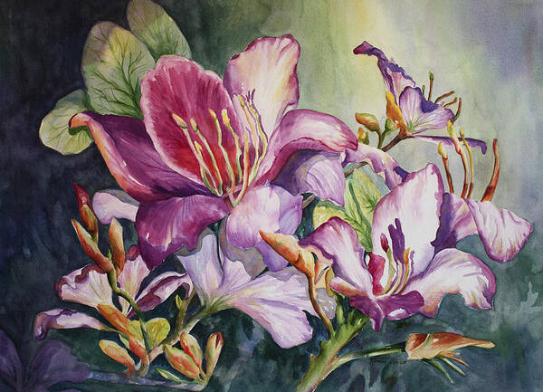 Orchids Poster featuring the painting She Love Radiant Orchids by Roxanne Tobaison