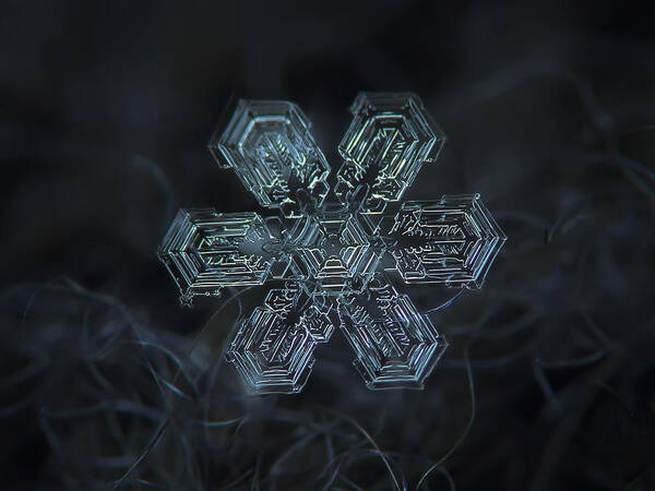 Snowflake Poster featuring the photograph Snowflake photo - Shine by Alexey Kljatov