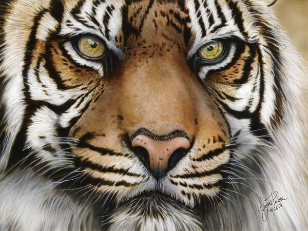 Siberian Tiger Poster featuring the painting Siberian Tiger Closeup by Wayne Pruse