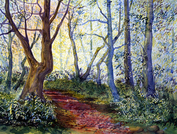 Watercolour Poster featuring the painting Silpho Forest by Glenn Marshall