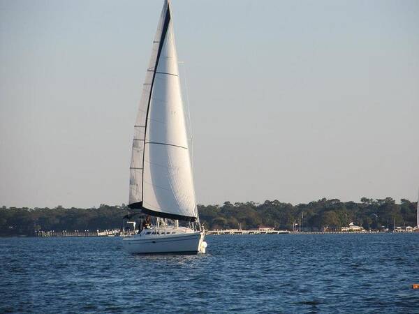 Seascape Poster featuring the photograph Smooth Sailing Carolina by Joetta Beauford