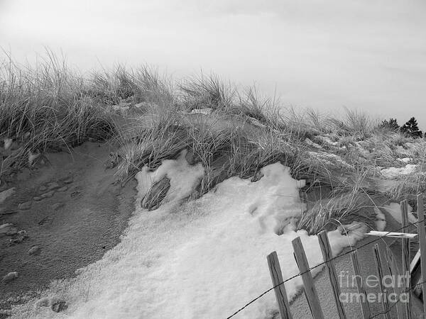 Black And White Poster featuring the photograph Winter at the Beach by Eunice Miller