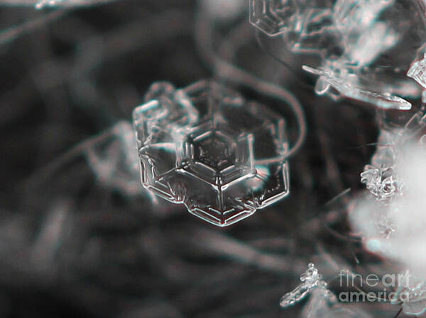 Geometric Poster featuring the photograph Snowflake Geometry by Stacey Zimmerman
