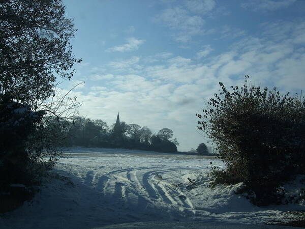 Cannock Chase Poster featuring the photograph Snowy Morning by Jean Walker