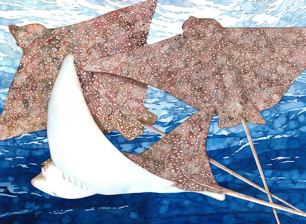 Spotted Eagle Ray Poster featuring the painting Soaring Eagle Rays by Pauline Walsh Jacobson