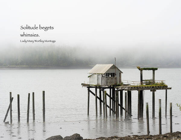 Landscapes Poster featuring the photograph Solitude Begets Whimsies by Mary Lee Dereske