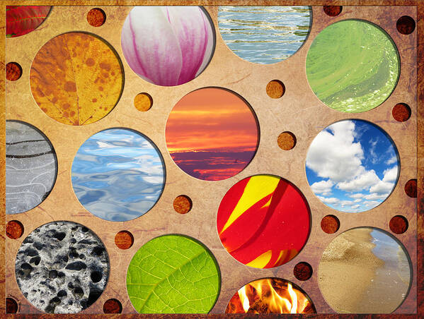 Nature Collage Poster featuring the digital art Spots of Nature by Shawna Rowe