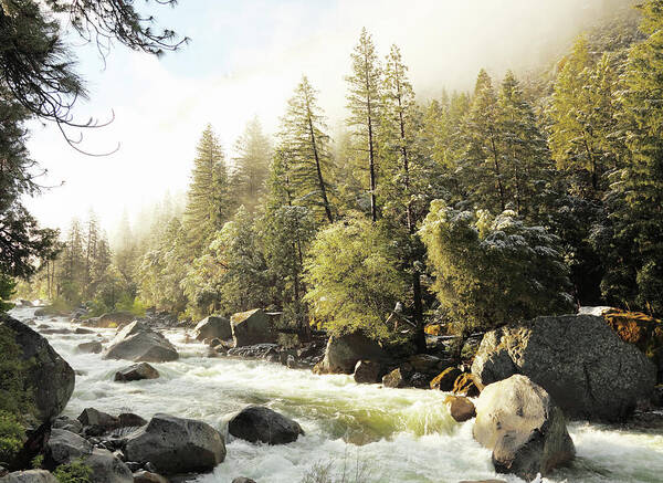 Scenics Poster featuring the photograph Spring Creek And Rocks In Yosemite Park by Arturbo